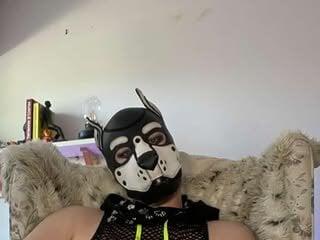 puptank