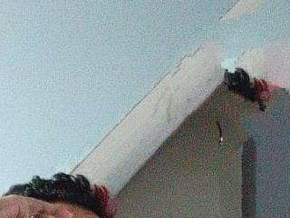 ryanse hot