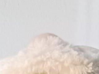 samy-blonde