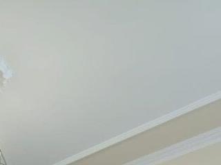 slg1