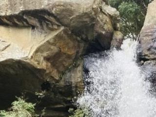 sofiii4