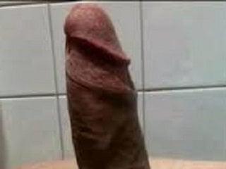 SPARTA73