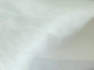 thefox92