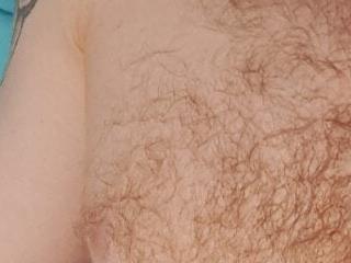 Theo-rose10