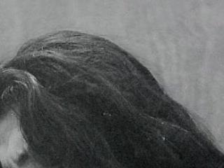 Van Velckan