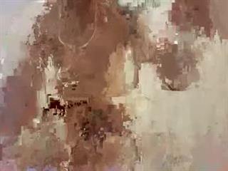 RandyRichard25